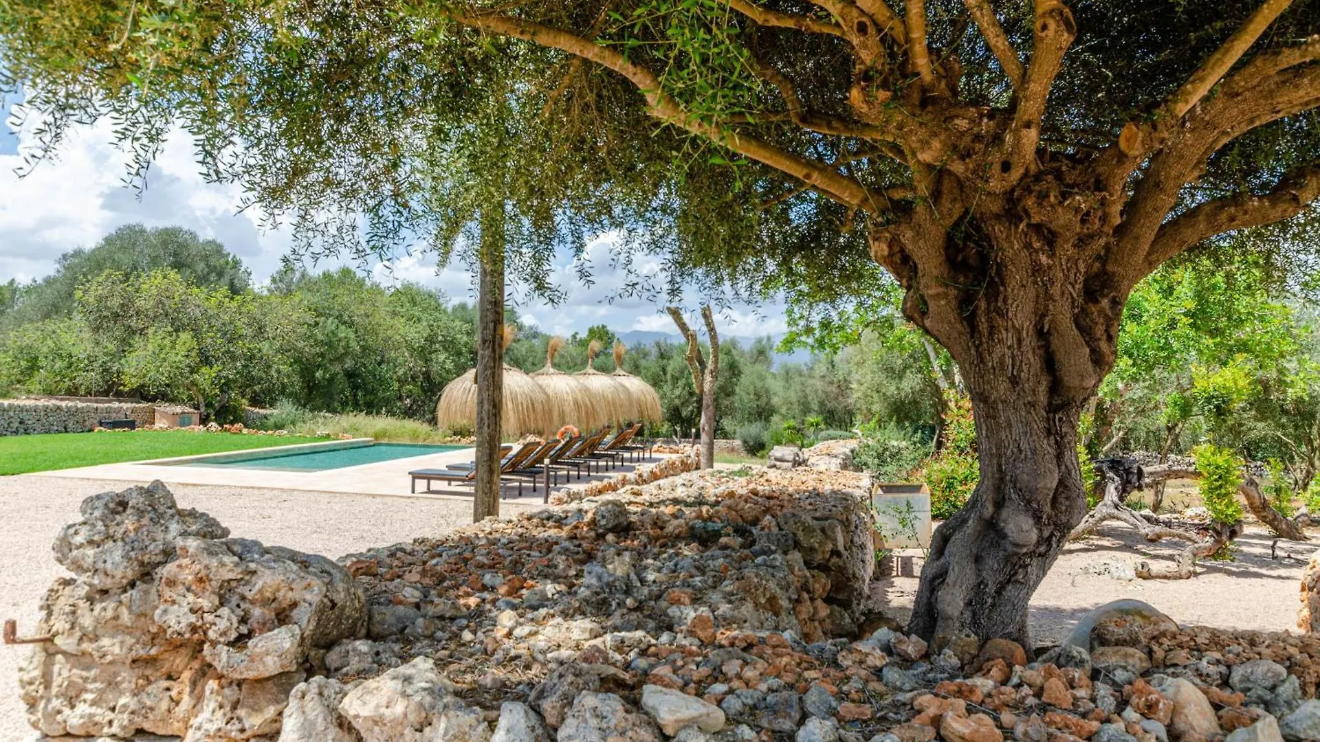 Farm stay Agroturismo Cal Tio 4, Yourhouse Costitx
